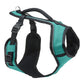PetSafe Dog Easy Sport Dog Harness Teal Large