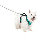 Petsafe Dog Easy Sport Harness Teal Small