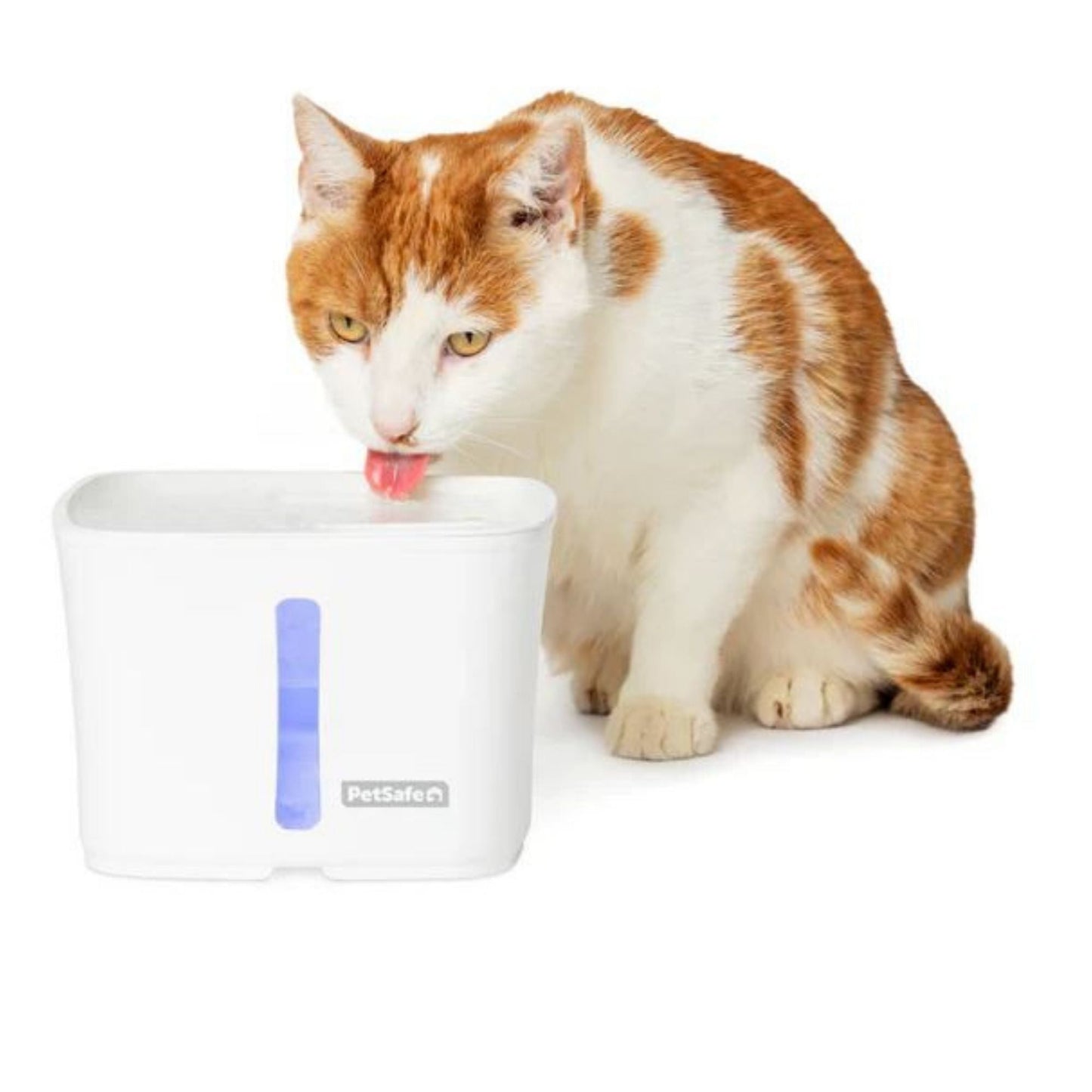 PetSafe Dog & Cat Viva Fountain Plastic Tray 64 oz, view 5