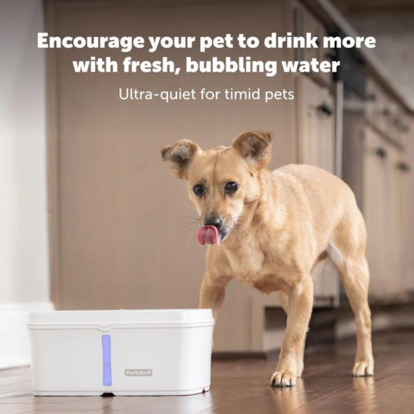 PetSafe Dog & Cat Viva Fountain Plastic Tray 64 oz, view 2