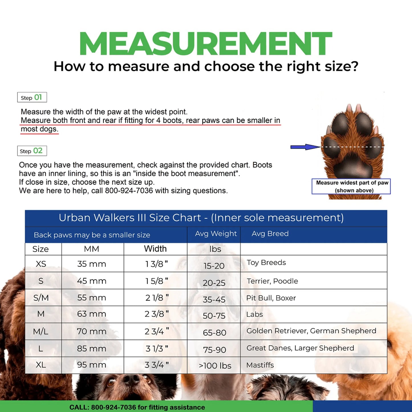 URBAN WALKERS III - Pets Perfect