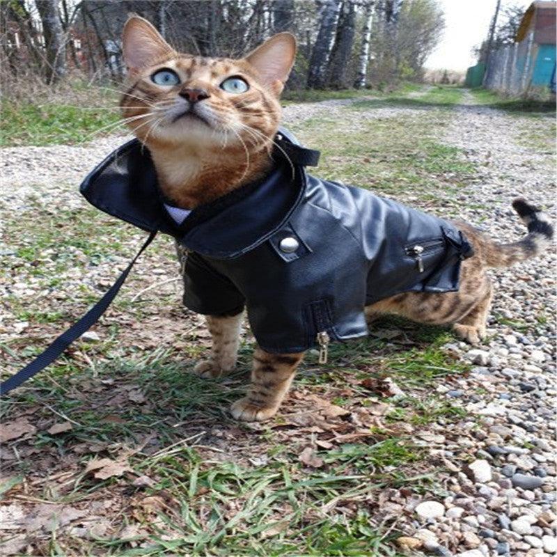 Luxury Leather Dog Coat - Chic Stylish Pet Outerwear - Pets Perfect