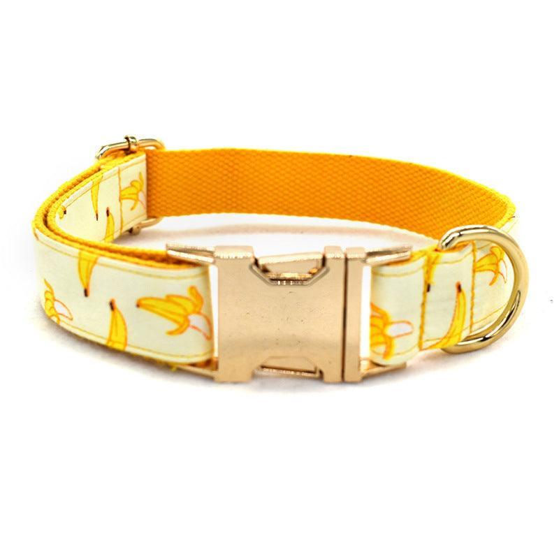 Patterned Dog Collar - Fruit Design with Metal Buckle - Pets Perfect