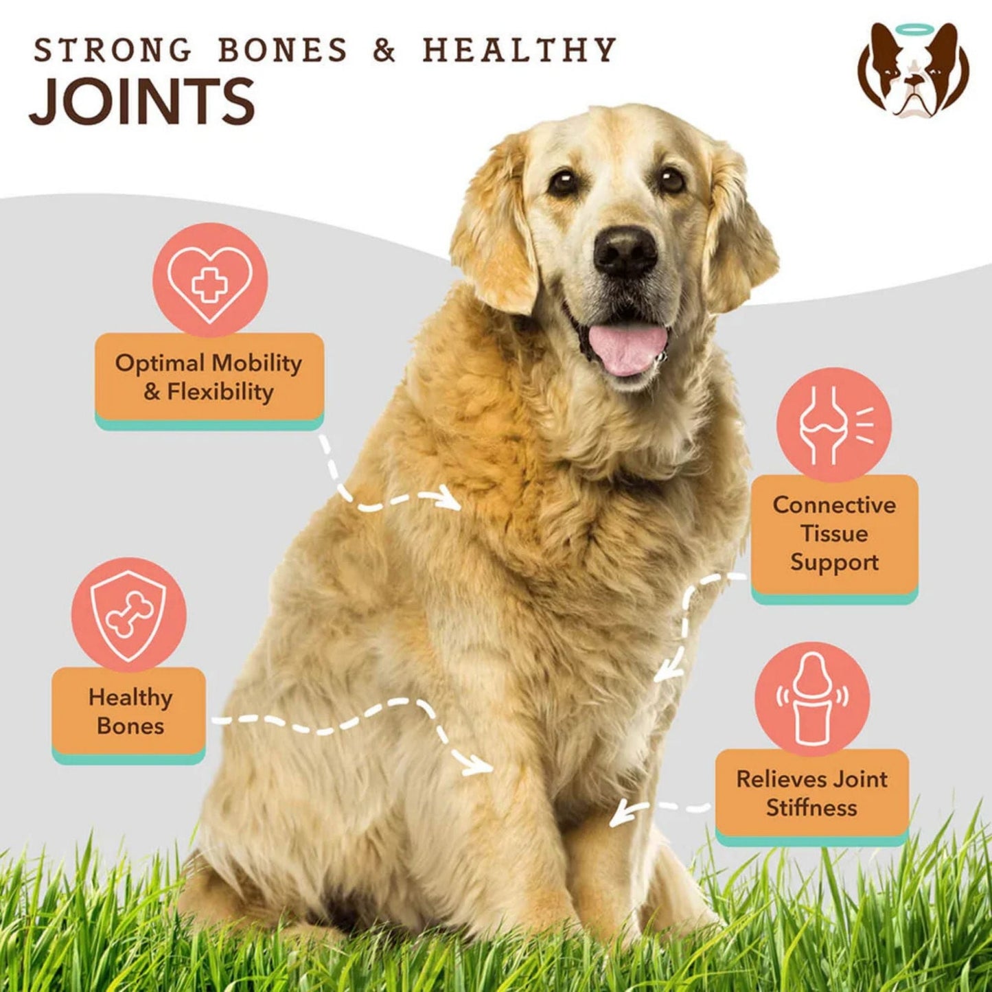 Natural Dog Company Dog Hip & Joint Supplement Dog Chews - 90 ct, view 4