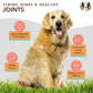 Natural Dog Company Dog Hip & Joint/Glucosamine Oil 16 oz, view 4