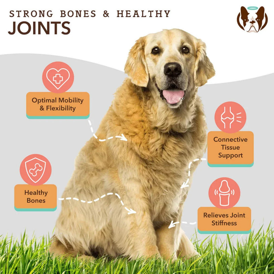 Natural Dog Company Dog Hip & Joint / Glucosamine Oil 16oz.