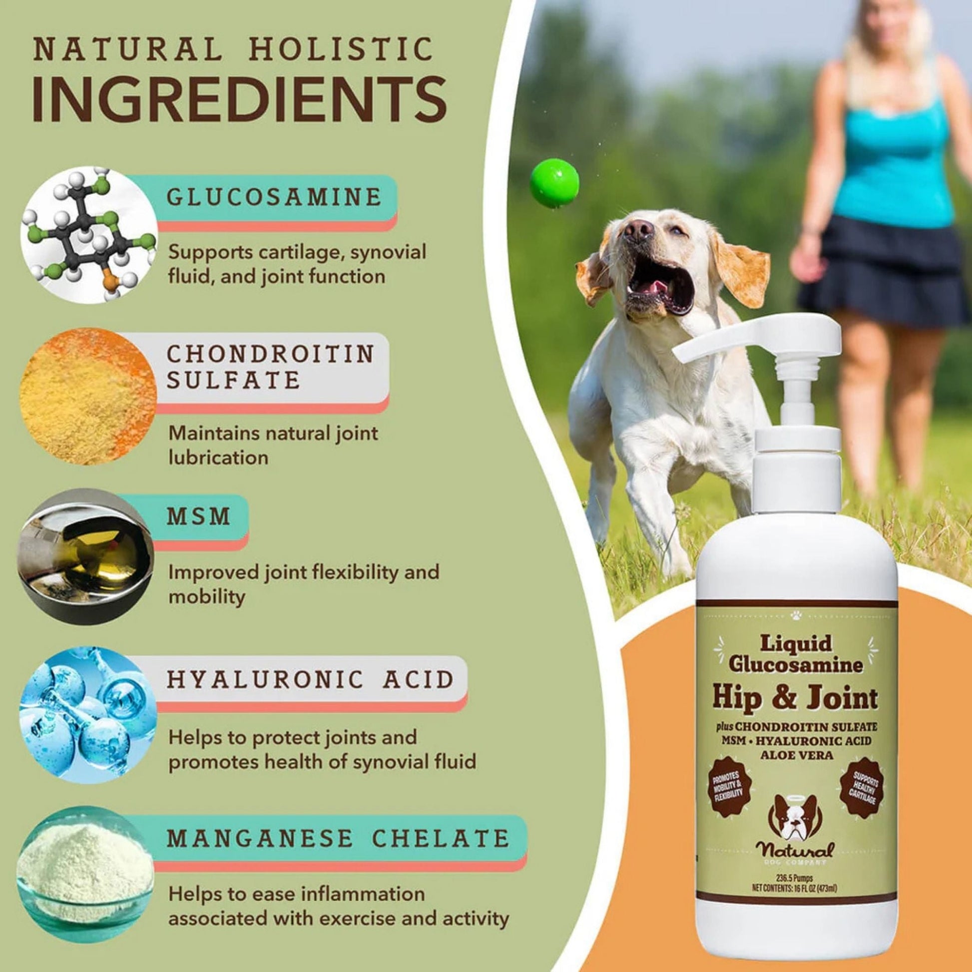Natural Dog Company Dog Hip & Joint/Glucosamine Oil 16 oz, view 3