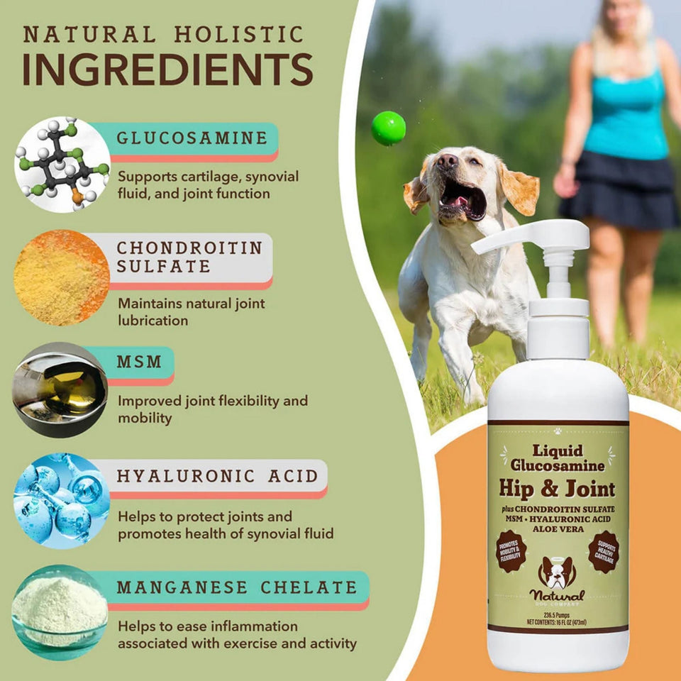 Natural Dog Company Dog Hip & Joint / Glucosamine Oil 16oz.