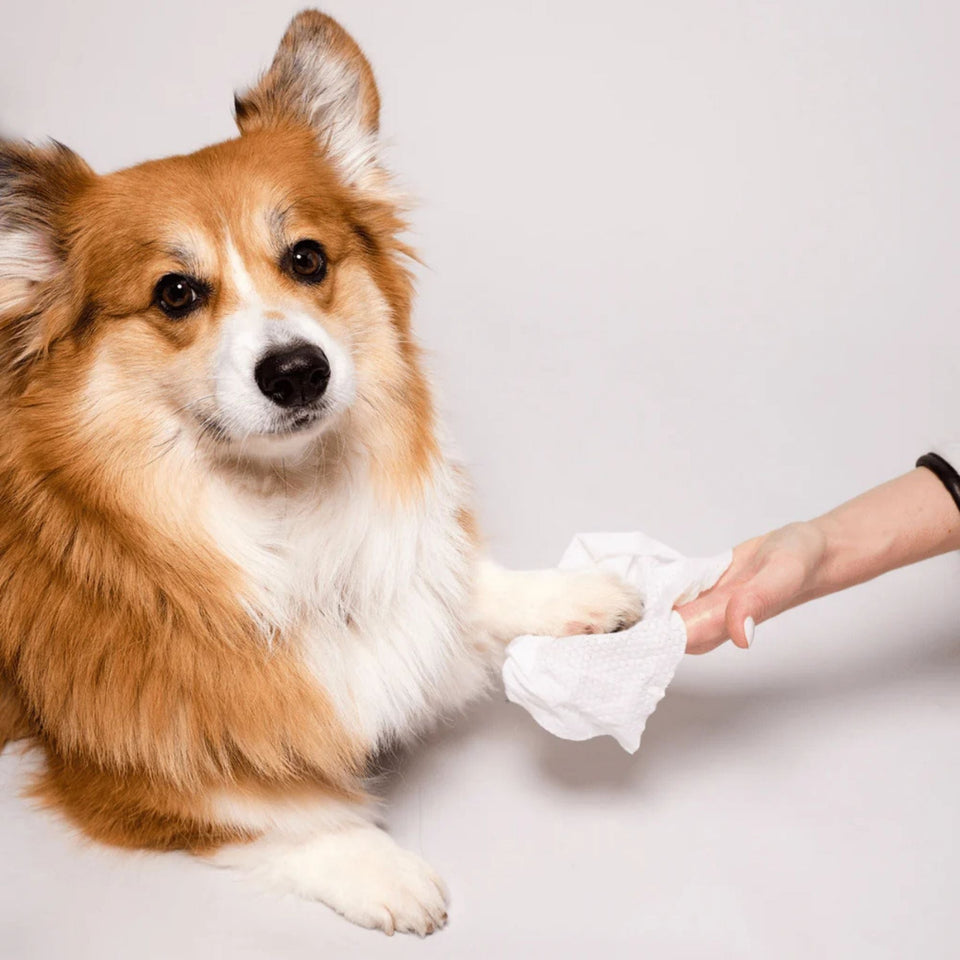Natural Dog Company Dog Grooming Wipes - 50 Count