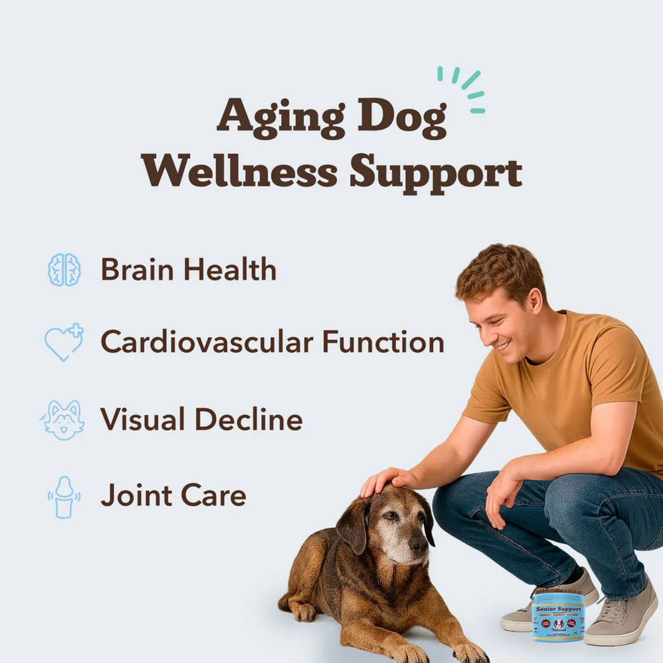 Natural Dog Company Dog Senior Support Chews - 90 Count