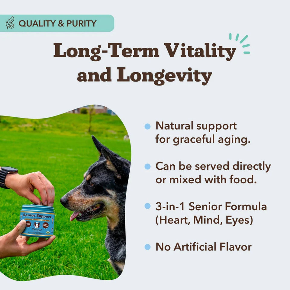 Natural Dog Company Dog Senior Support Chews - 90 Count
