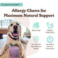 Natural Dog Company Dog Allergy & Itch Supplement Dog Chews - 90 ct, view 3