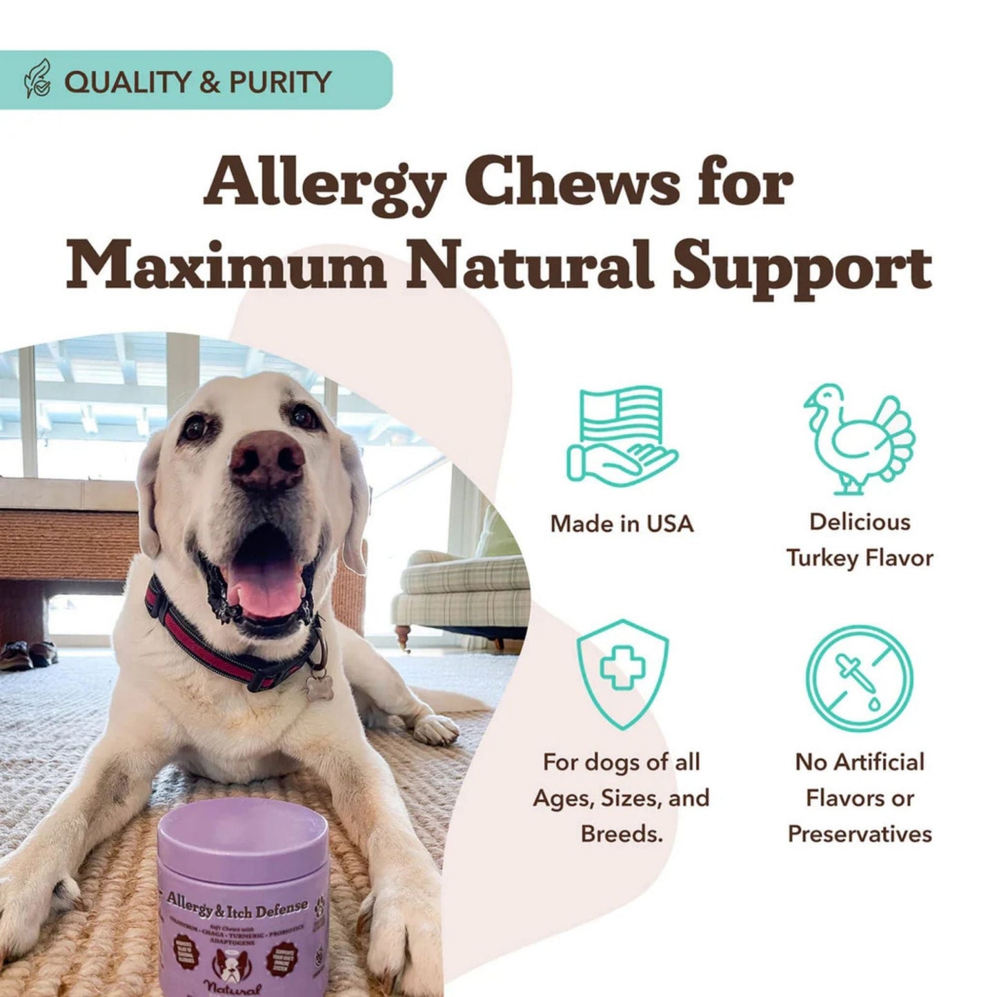 Natural Dog Company Dog Allergy & Itch Supplement Dog Chews - 90 ct, view 3