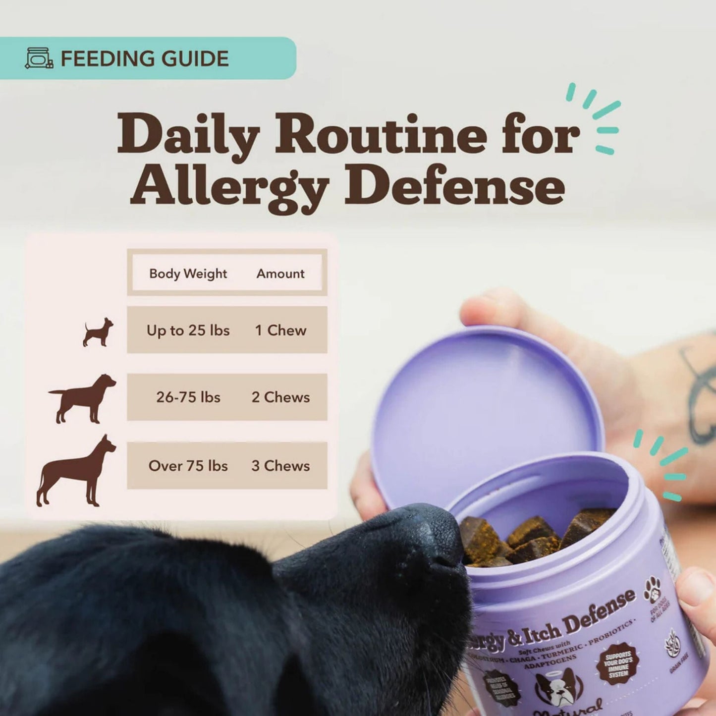 Natural Dog Company Dog Allergy & Itch Supplement Dog Chews - 90 ct, view 2
