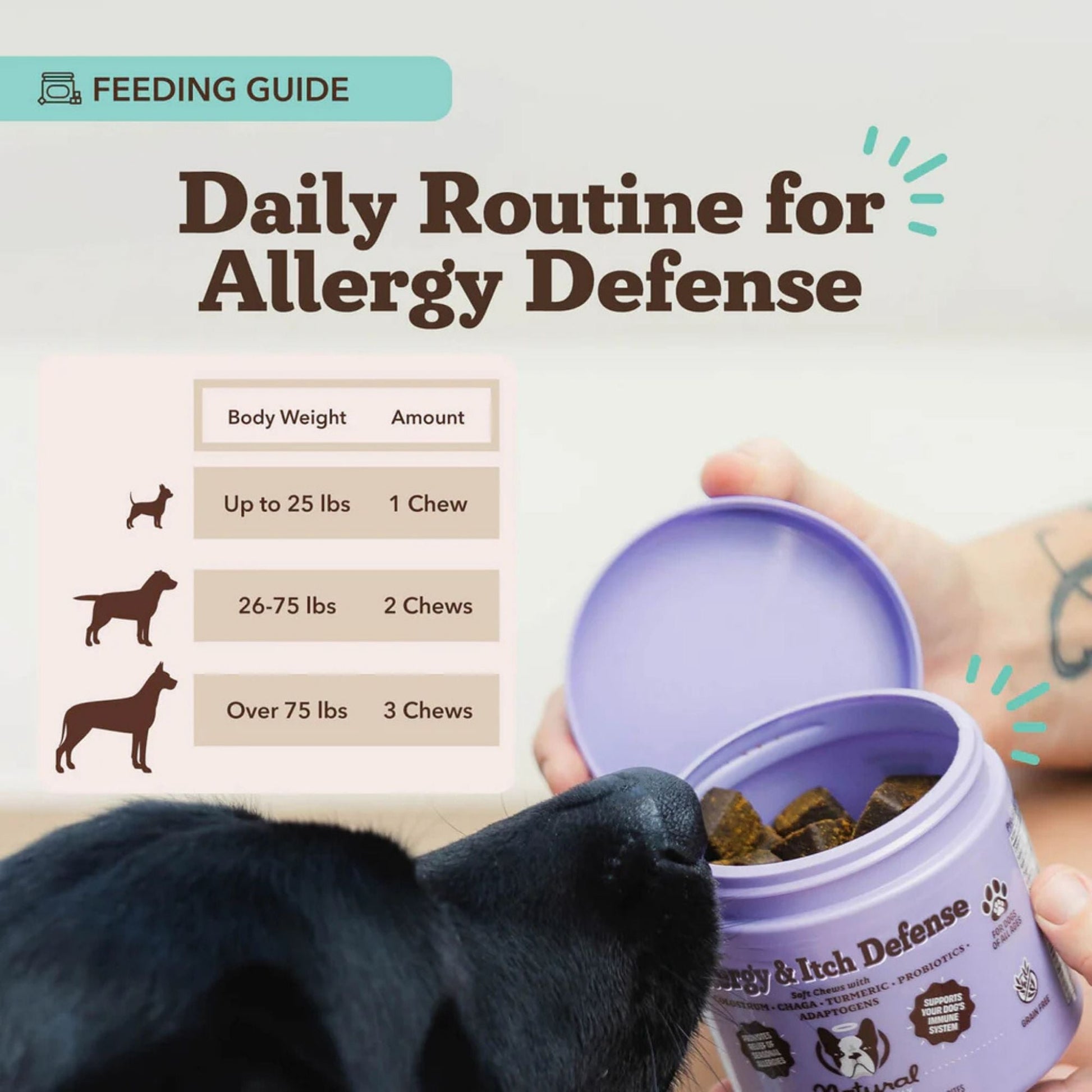 Natural Dog Company Dog Allergy & Itch Supplement Dog Chews - 90 ct, view 2