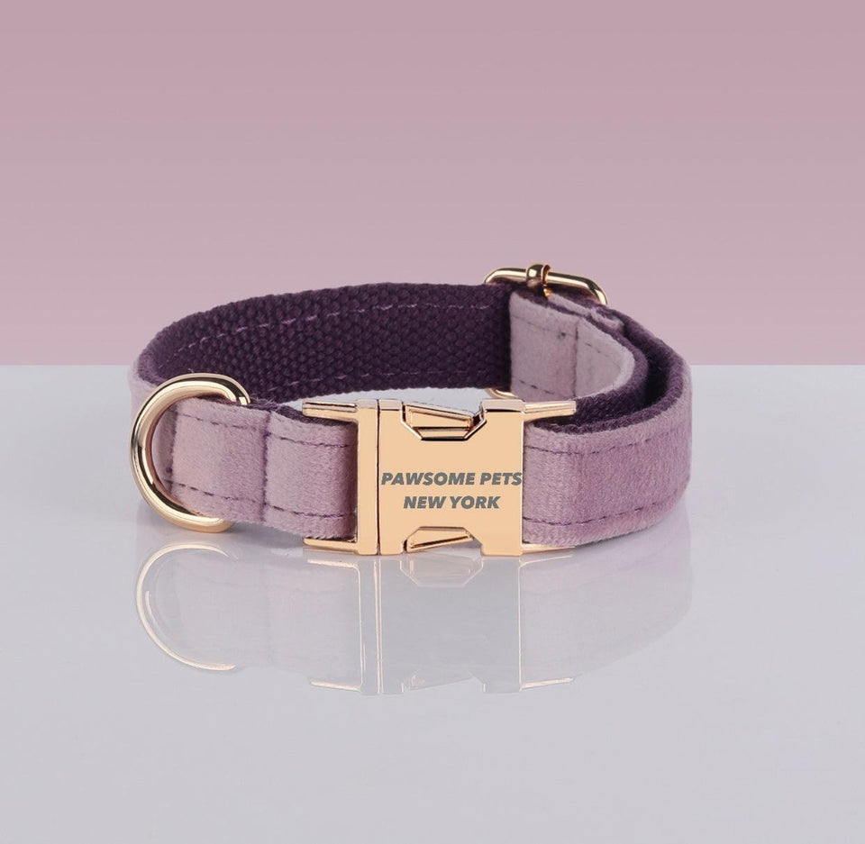 Adjustable Nylon Dog Collar - Quick-Release Buckle, XS