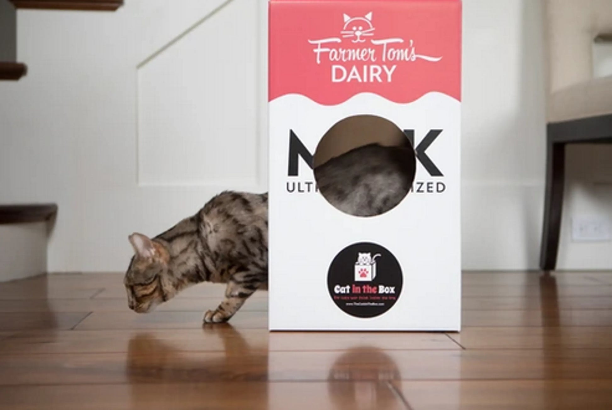 Mega Milk Carton Cardboard Cat House - Pets Perfect