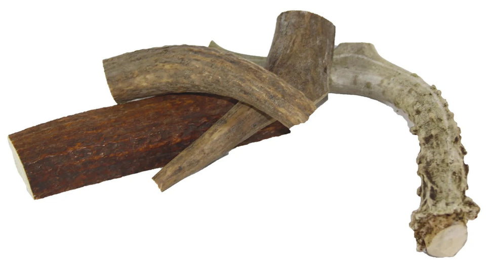 Deer Antler - 6 oz - Pets Perfect