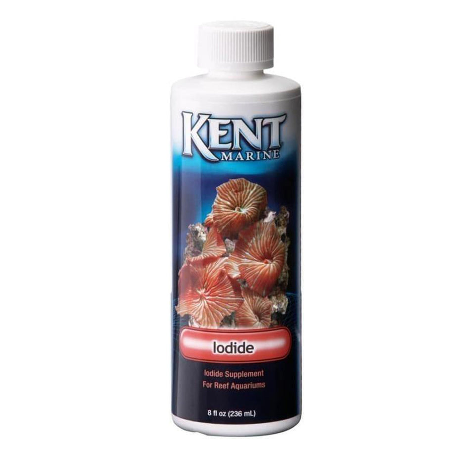 Kent Supplement Super Iodide 8 Oz.