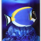 Kent Marine Garlic Xtreme for Fish 1ea/1 fl oz - Pets Perfect