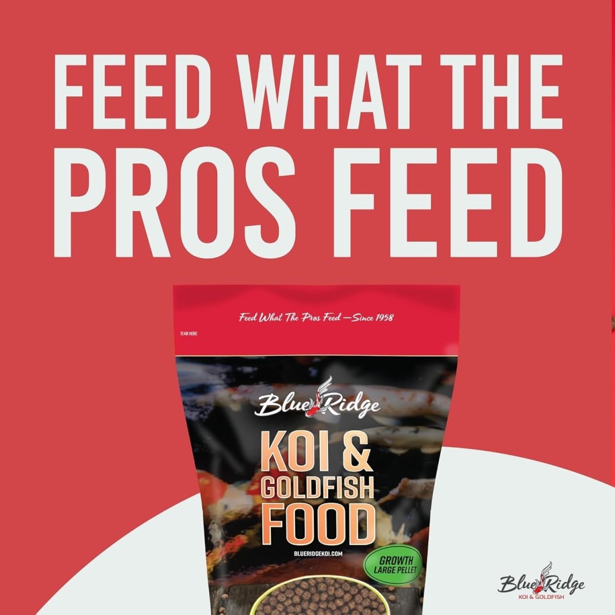 Blue Ridge Fish Hatchery Growth Formula Pellet Fish Food for Koi and Goldfish 1ea/2 lb, LG - Pets Perfect