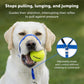 Petsafe Dog Gentle Leader Head Collar Royal Blue Small