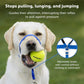 Petsafe Dog Gentle Leader Head Collar Royal Blue Medium