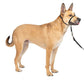 PetSafe Dog Gentle Leader Dog Head Dog Collar, Black Medium, view 4