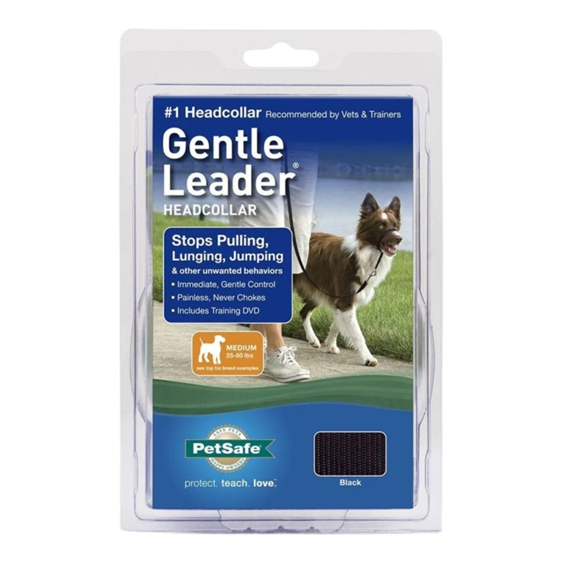 PetSafe Dog Gentle Leader Dog Head Dog Collar, Black Medium
