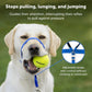 Petsafe Dog Gentle Leader Head Collar Black Small