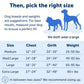 Petsafe Dog Easy Walk Harness Blue Medium