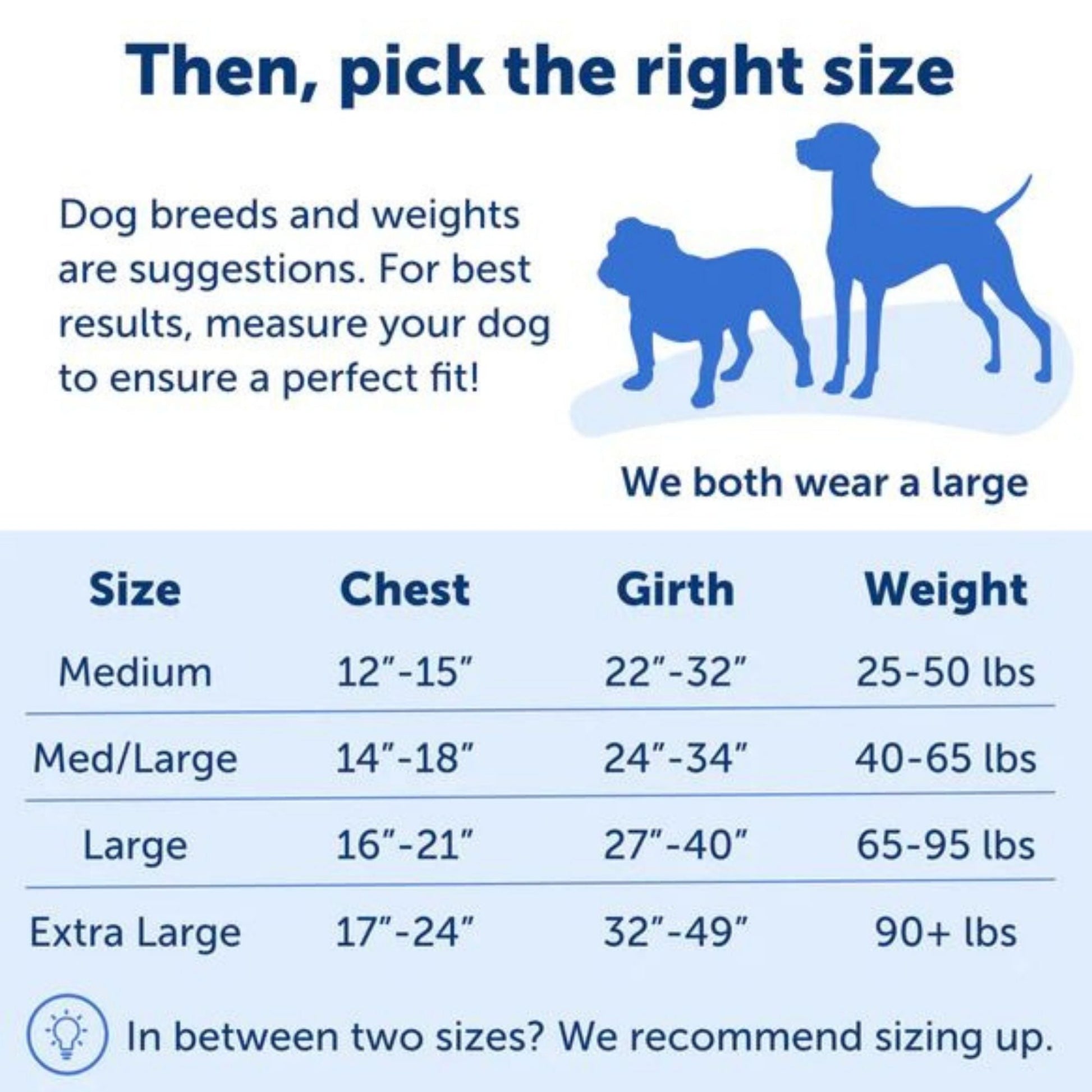 PetSafe Dog Easy Walk Dog Harness, Blue Large, view 3