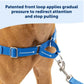 PetSafe Dog Easy Walk Dog Harness, Blue Large, view 2