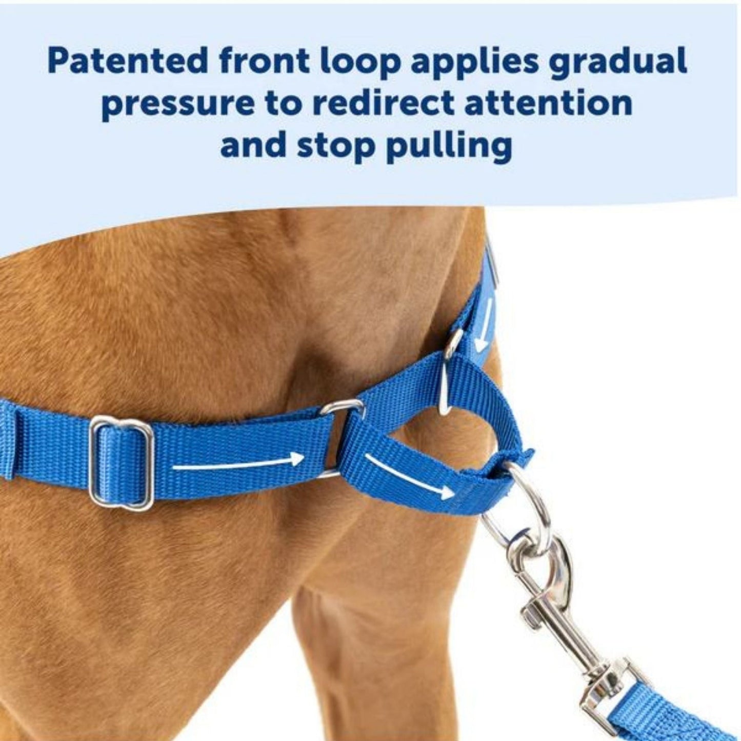 PetSafe Dog Easy Walk Dog Harness, Blue Large, view 2