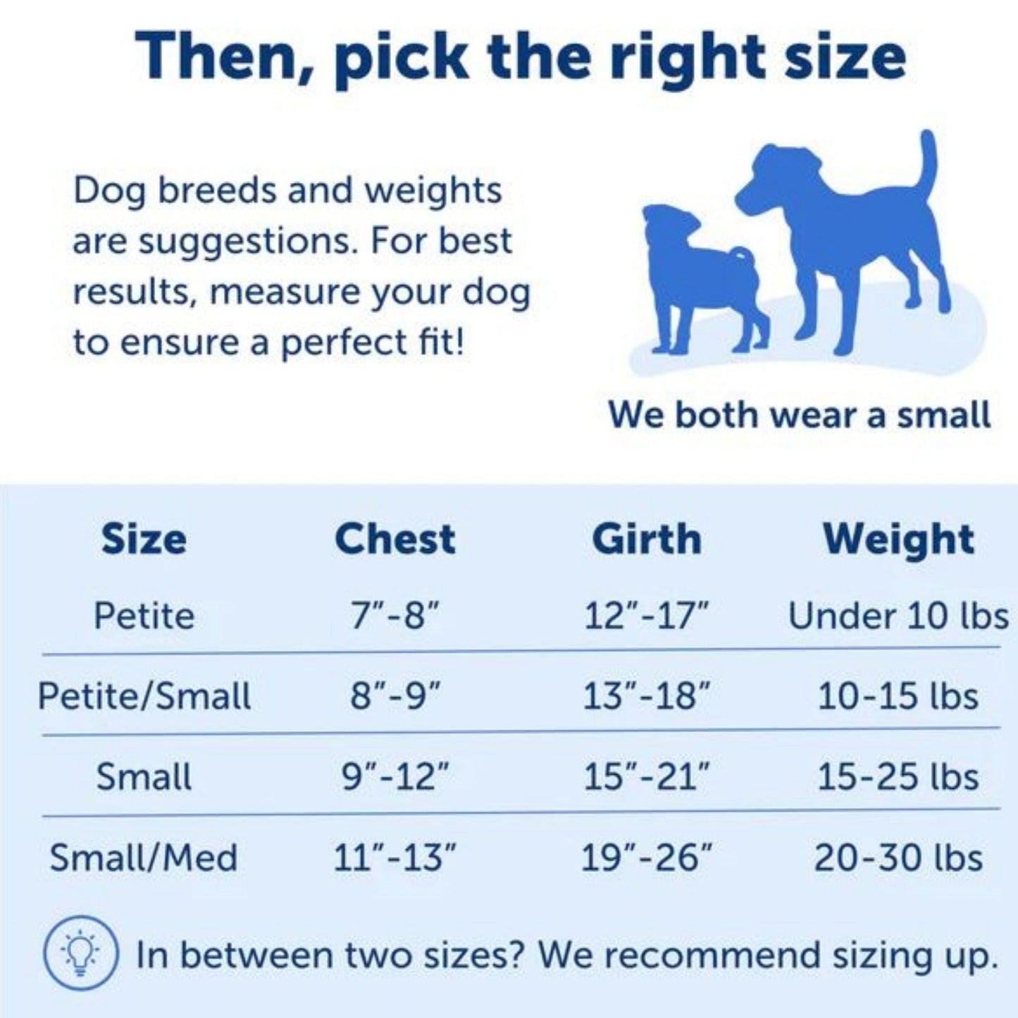 PetSafe Dog Easy Walk Dog Harness, Black Small, view 3