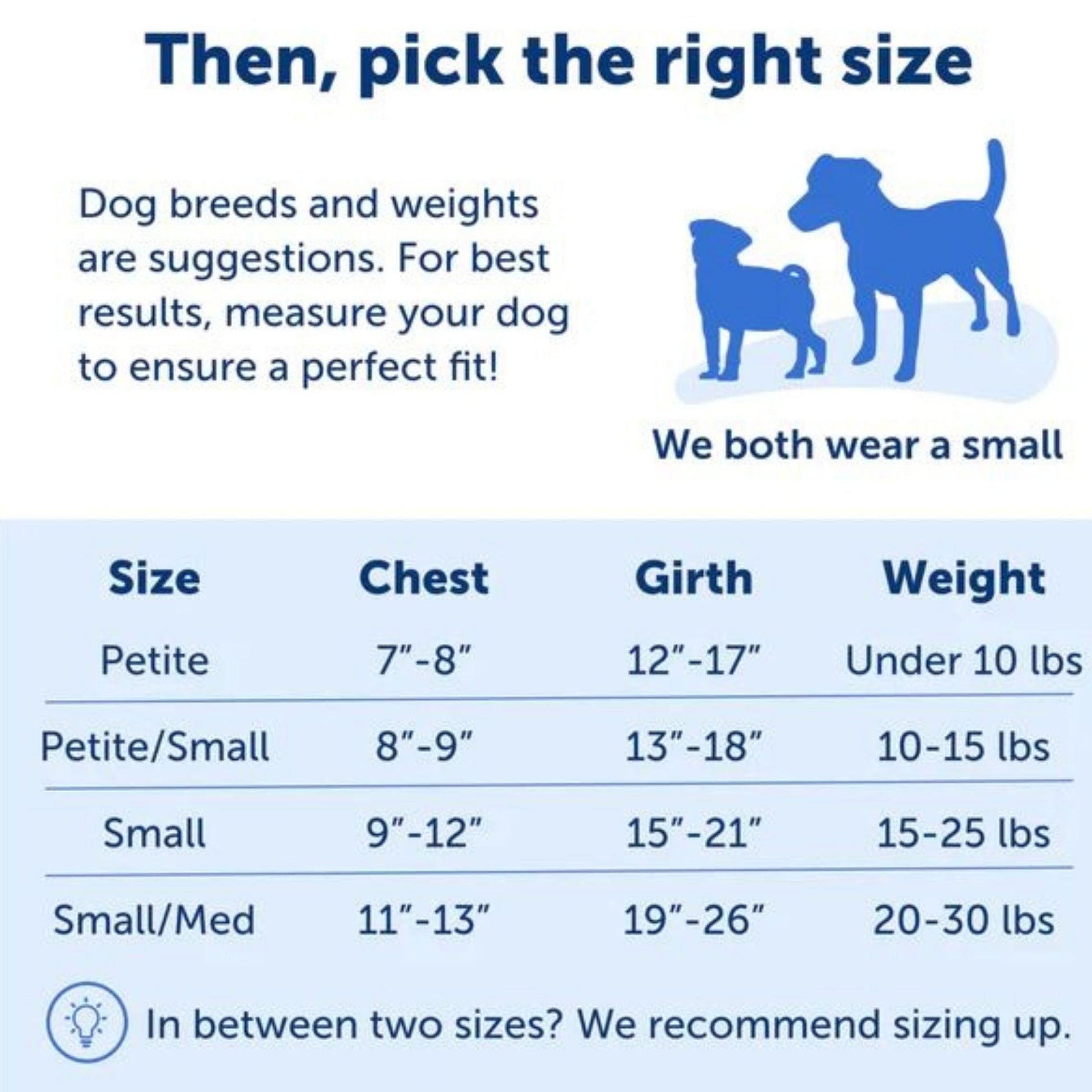 PetSafe Dog Easy Walk Dog Harness, Black Small, view 3