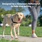 Petsafe Dog Easy Walk Harness Black Medium / Large