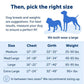 PetSafe Dog Easy Walk Dog Harness, Blue Medium/Large, view 3