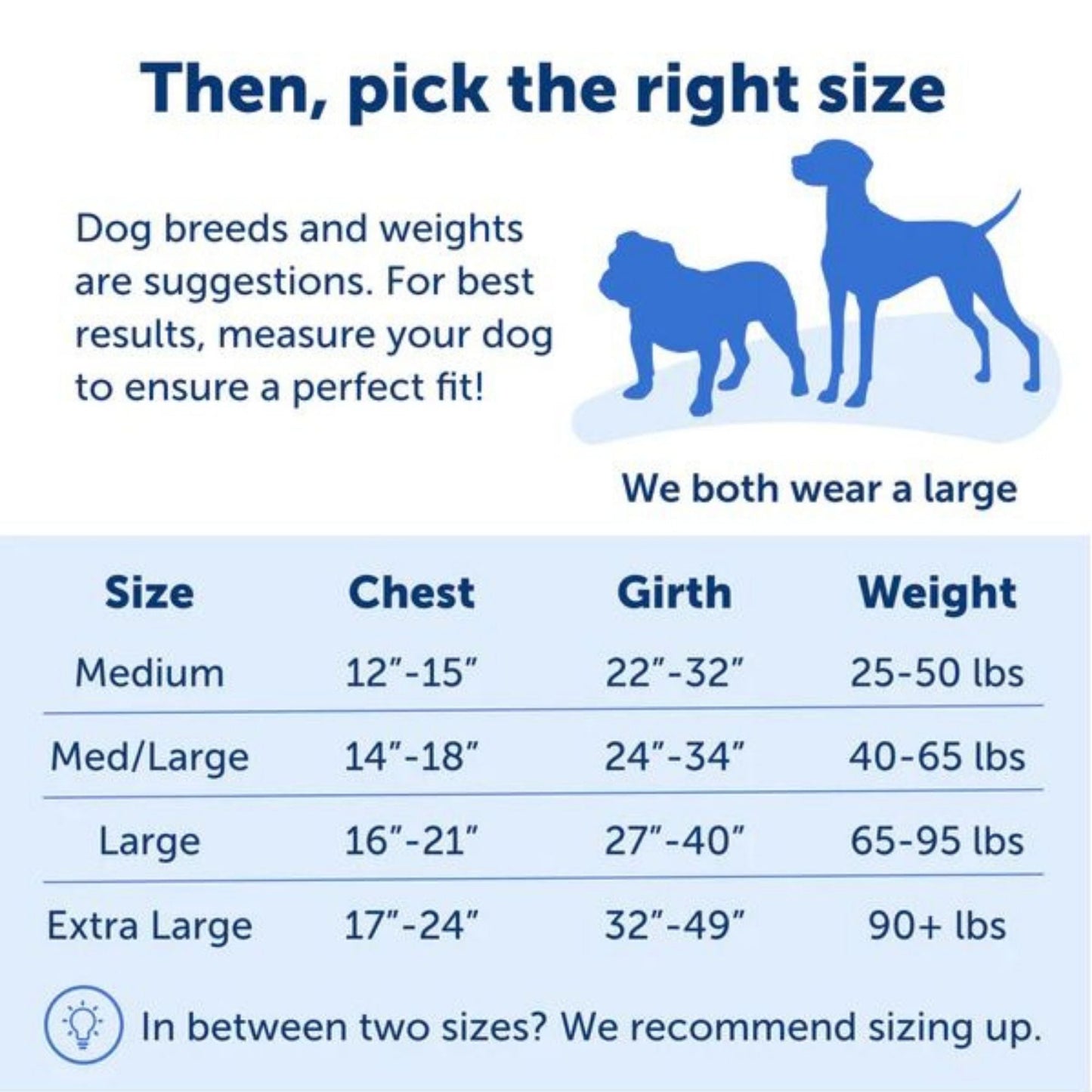 PetSafe Dog Easy Walk Dog Harness, Blue Medium/Large, view 3