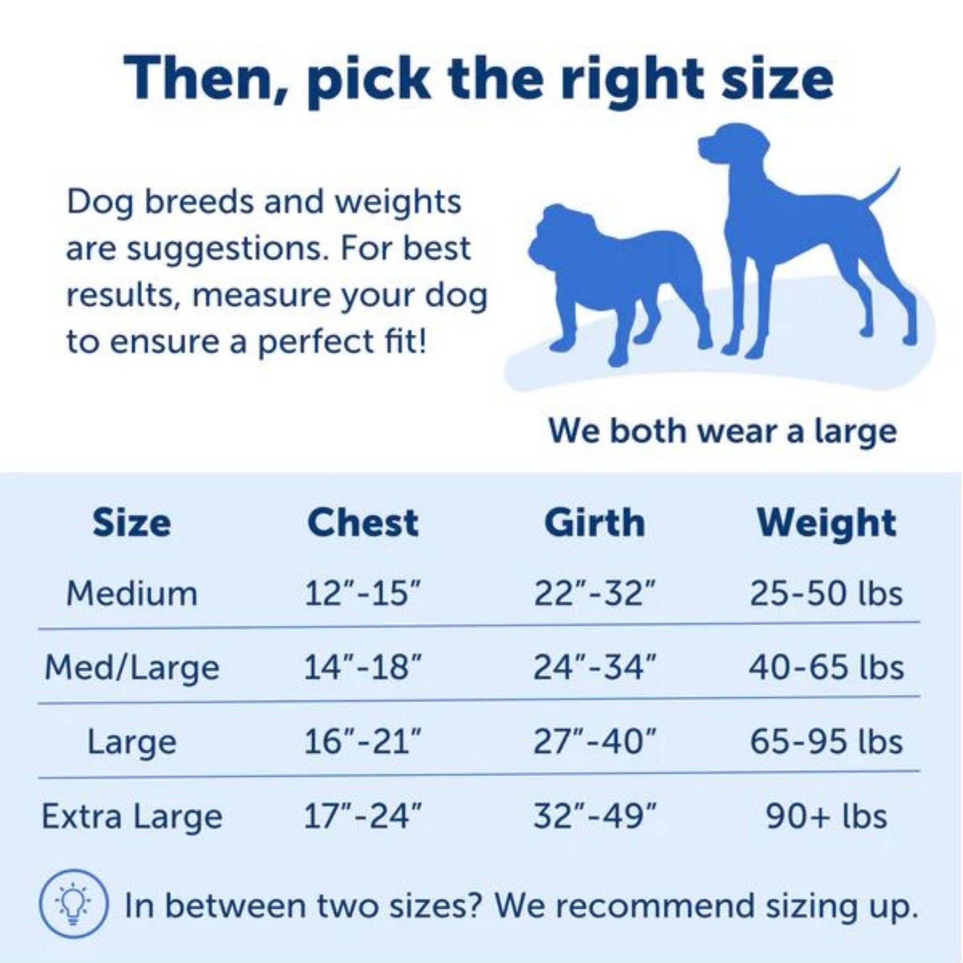 PetSafe Dog Easy Walk Dog Harness, Blue Medium/Large, view 3
