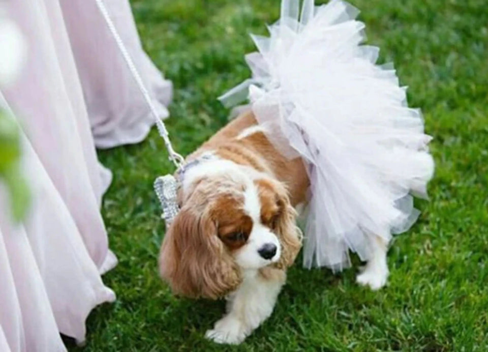 White Bridal Dog Tutu Skirt by Tutu Joli - Pets Perfect