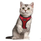 Escapeguard Cat Vest Harness And Car Seat Belt Adapter - Adjustable, Reflective, And Escape - Proof Harness For Cats And Small Dogs - Pets Perfect