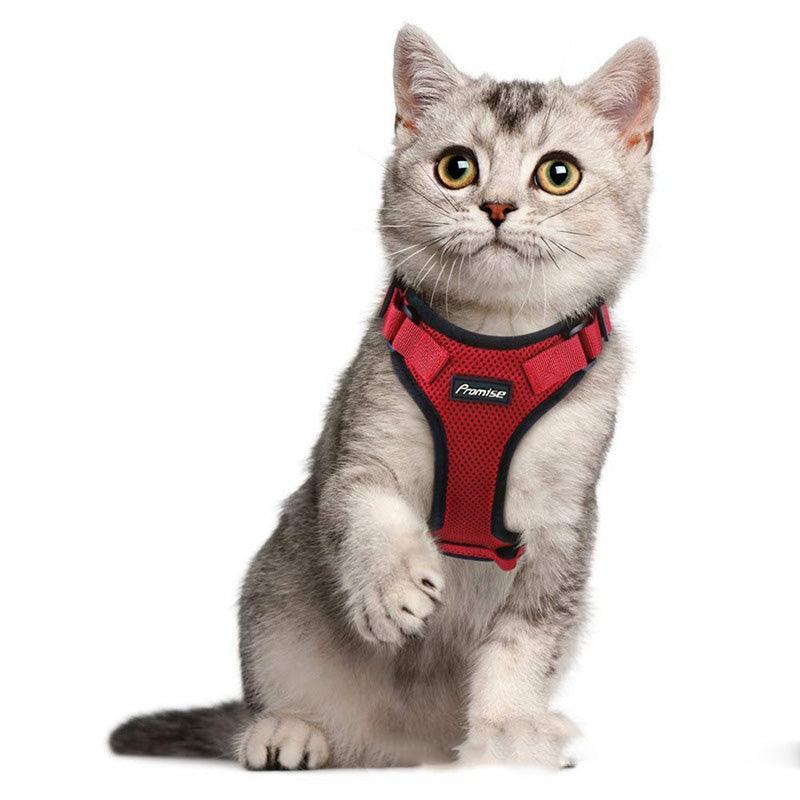 Escapeguard Cat Vest Harness And Car Seat Belt Adapter - Adjustable, Reflective, And Escape - Proof Harness For Cats And Small Dogs - Pets Perfect