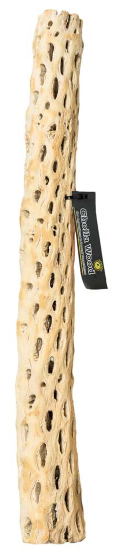 Galapagos Cactus Skeleton Cholla Wood for Terrariums and Aquariums, 36 in