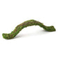 Galapagos Flexible Bridge Terrarium Ornament for Arboreal Reptiles, Fresh Green, 2 ft