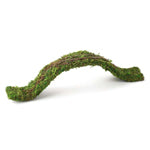 Galapagos Flexible Bridge Terrarium Ornament for Arboreal Reptiles, Fresh Green, 2 ft