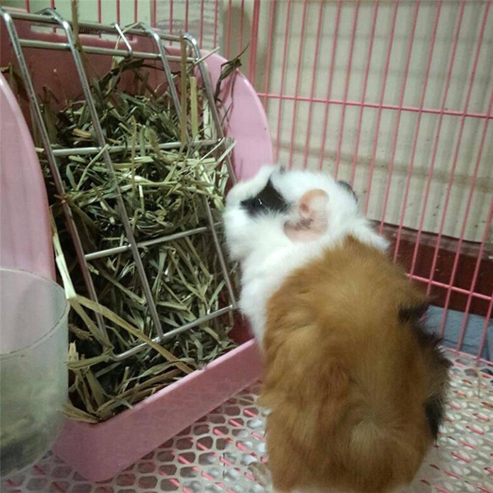 Springtime Munchies: Anti-Bite Rabbit Grass Feeder.