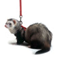Marshall Pet Products Ferret Harness and Lead Set Red