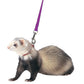 Marshall Pet Products Ferret Harness and Lead Set Purple