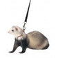 Marshall Pet Products Ferret Harness and Lead Set Blue